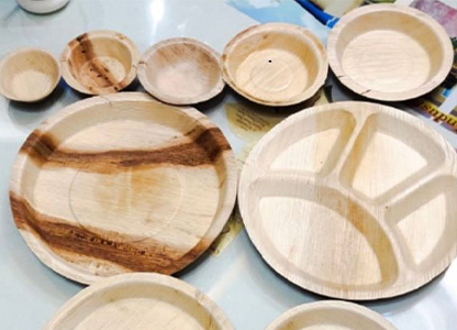 Areca Plates